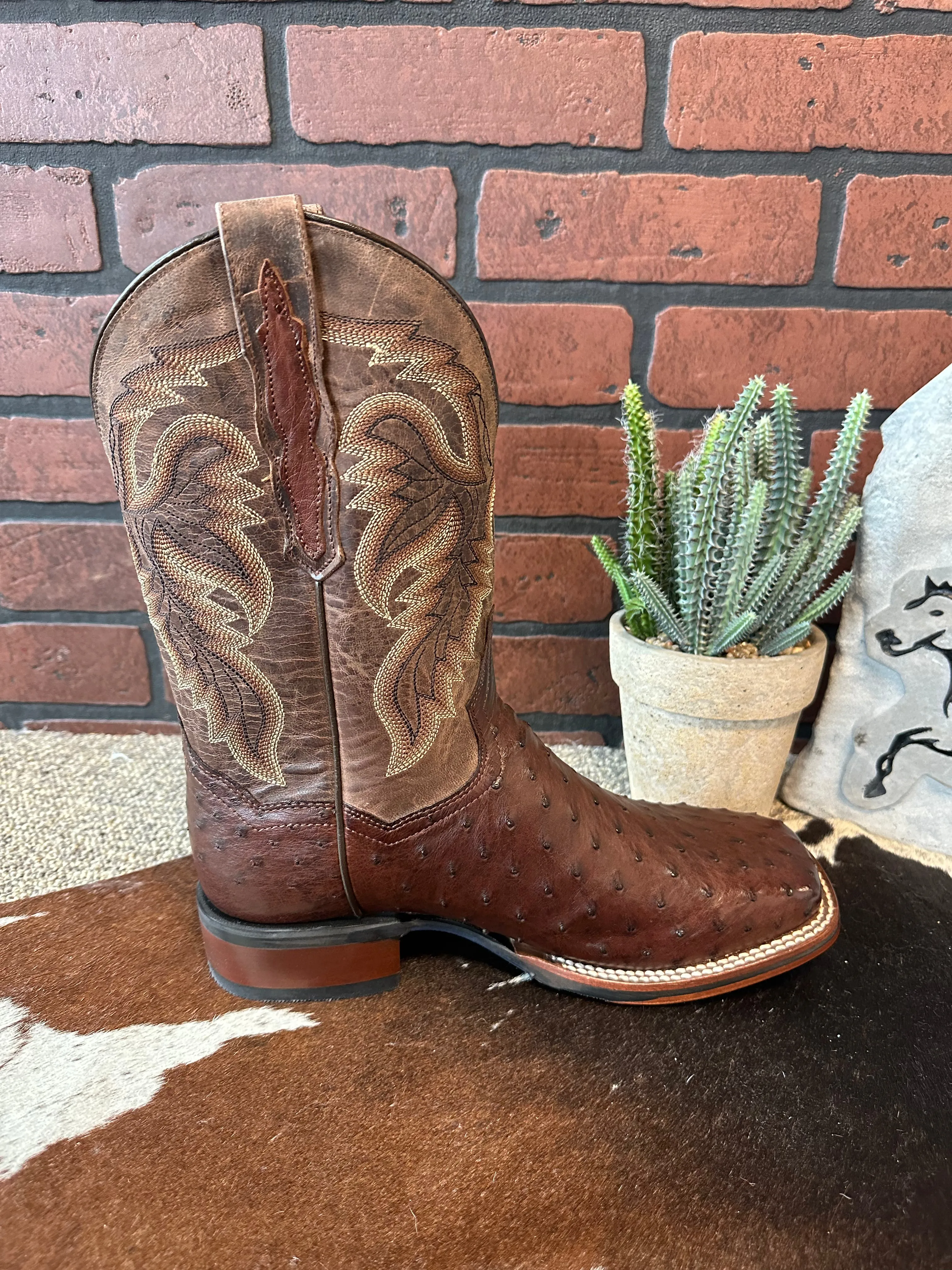 Durable Fit Dan Post Men's Alamosa Full Quill Ostrich Square Toe Cowboy Boots DP3875