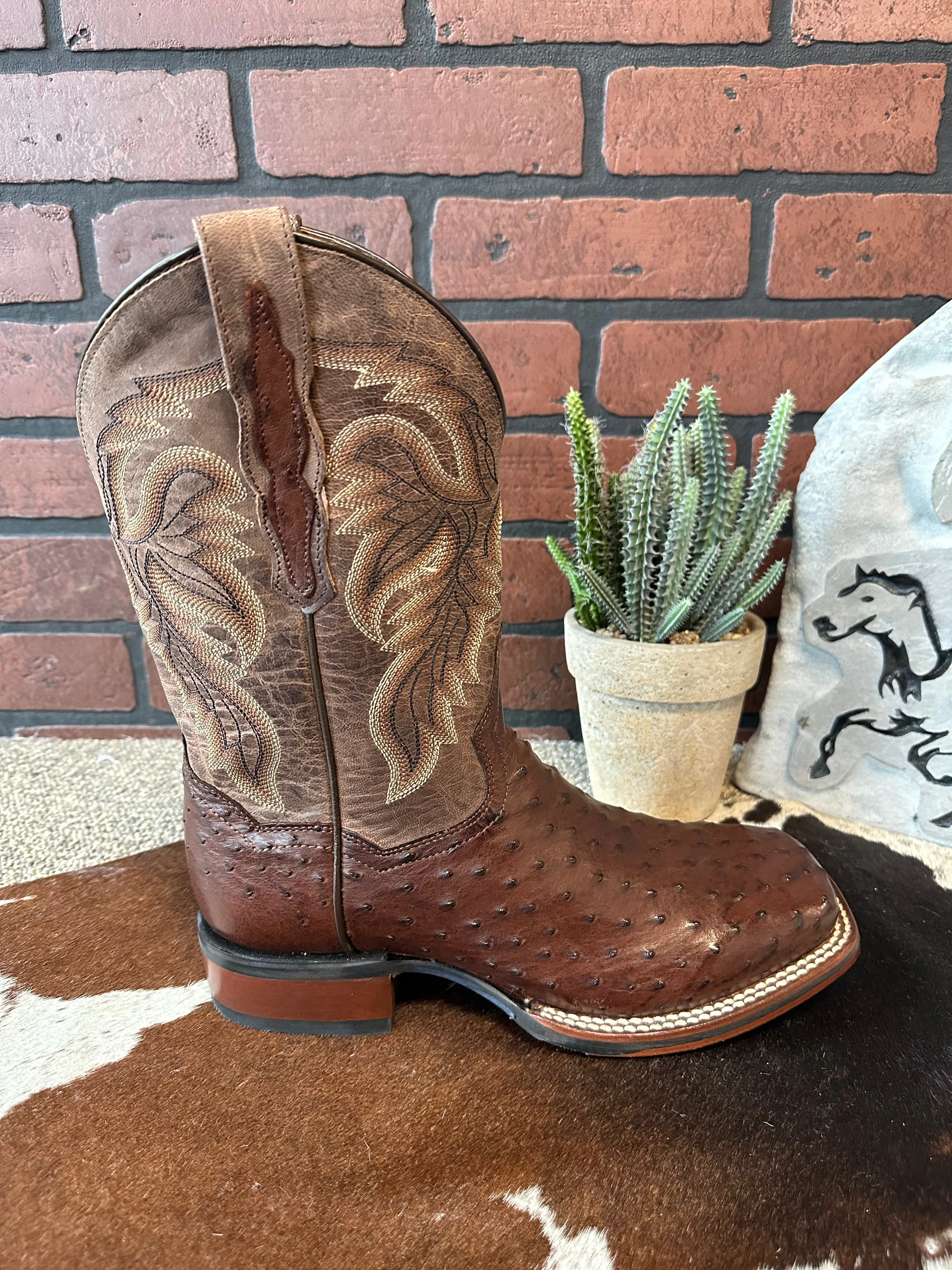 Flexible Fit Supportive Build Dan Post Men's Alamosa Full Quill Ostrich Square Toe Cowboy Boots DP3875