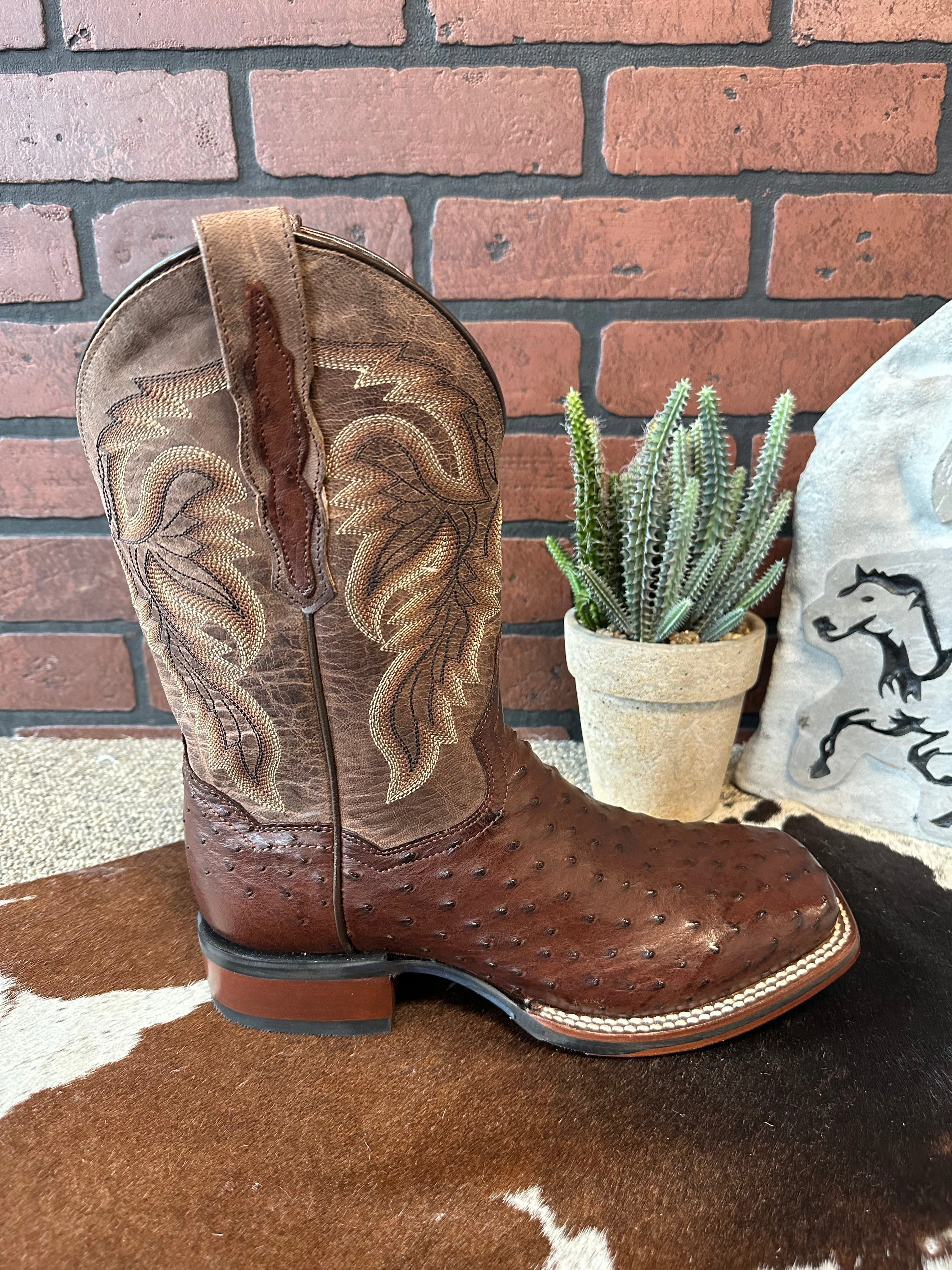 Flexible Fit Supportive Build Dan Post Men's Alamosa Full Quill Ostrich Square Toe Cowboy Boots DP3875