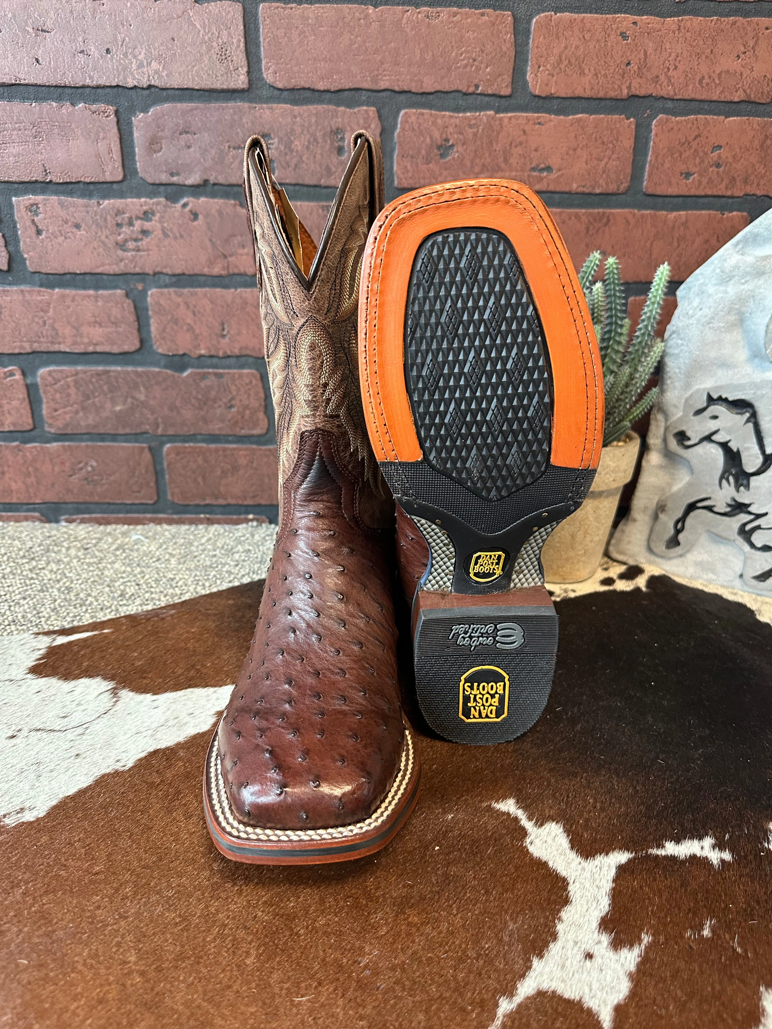 rain walk Dan Post Men's Alamosa Full Quill Ostrich Square Toe Cowboy Boots DP3875