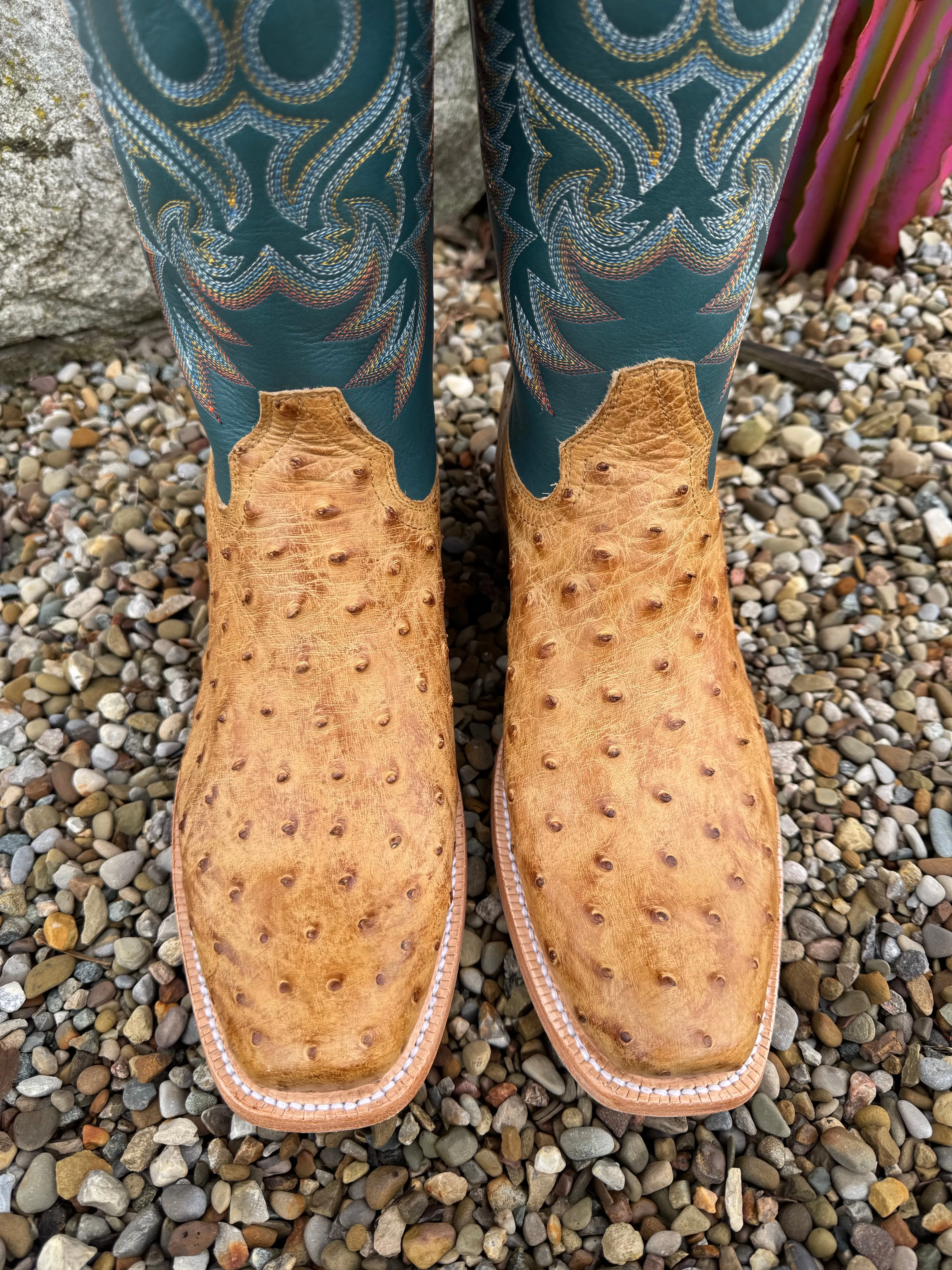 Lace-Up Design Office Smart R. Watson Men's Antique Saddle Full Quill Ostrich Narrow Toe Western Cowboy Boots RW4513-1)