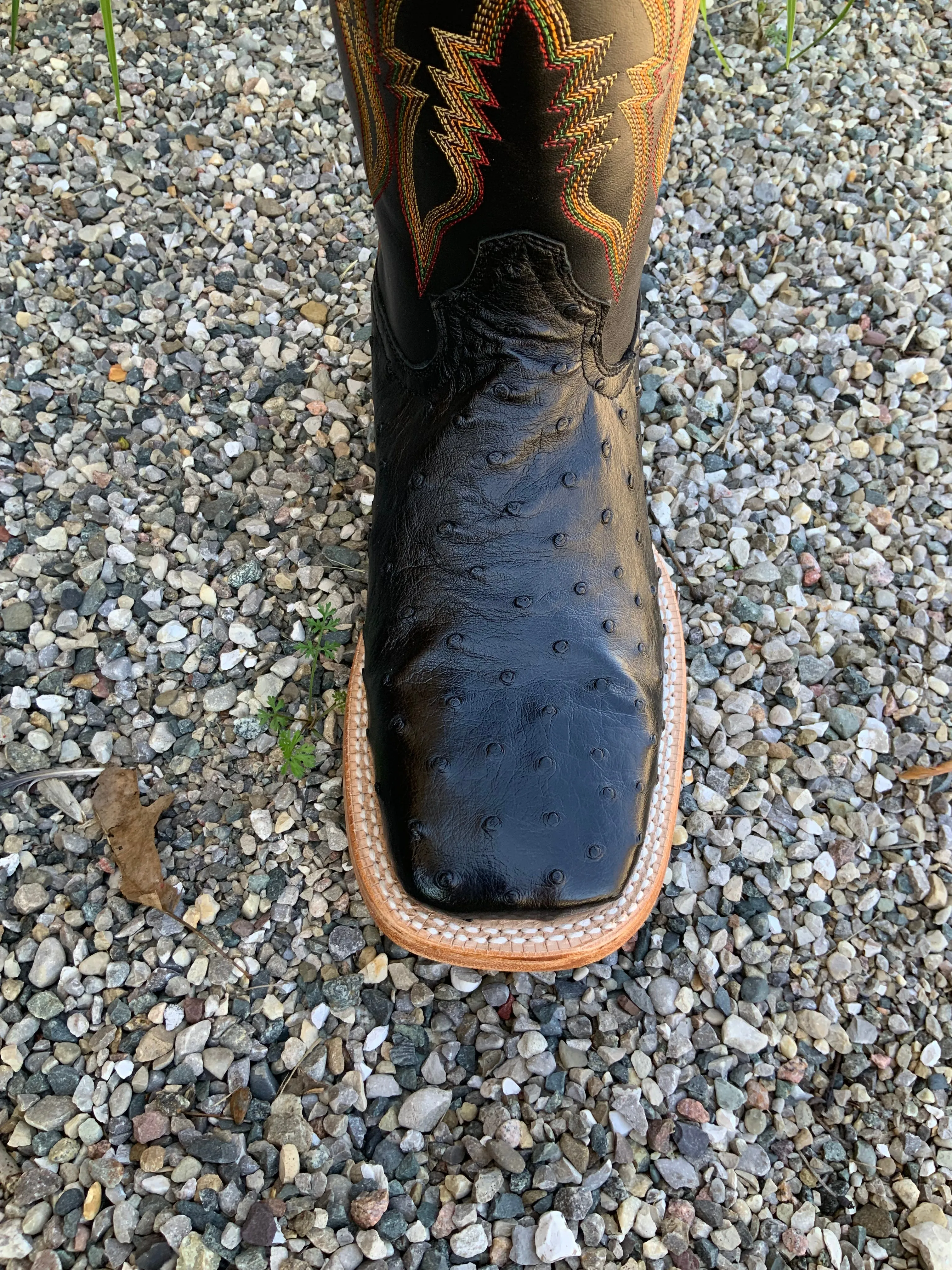 City Trek Bold Red R. Watson Men's Black Full Quill Ostrich Square Toe Western Cowboy Boots RW4507-2