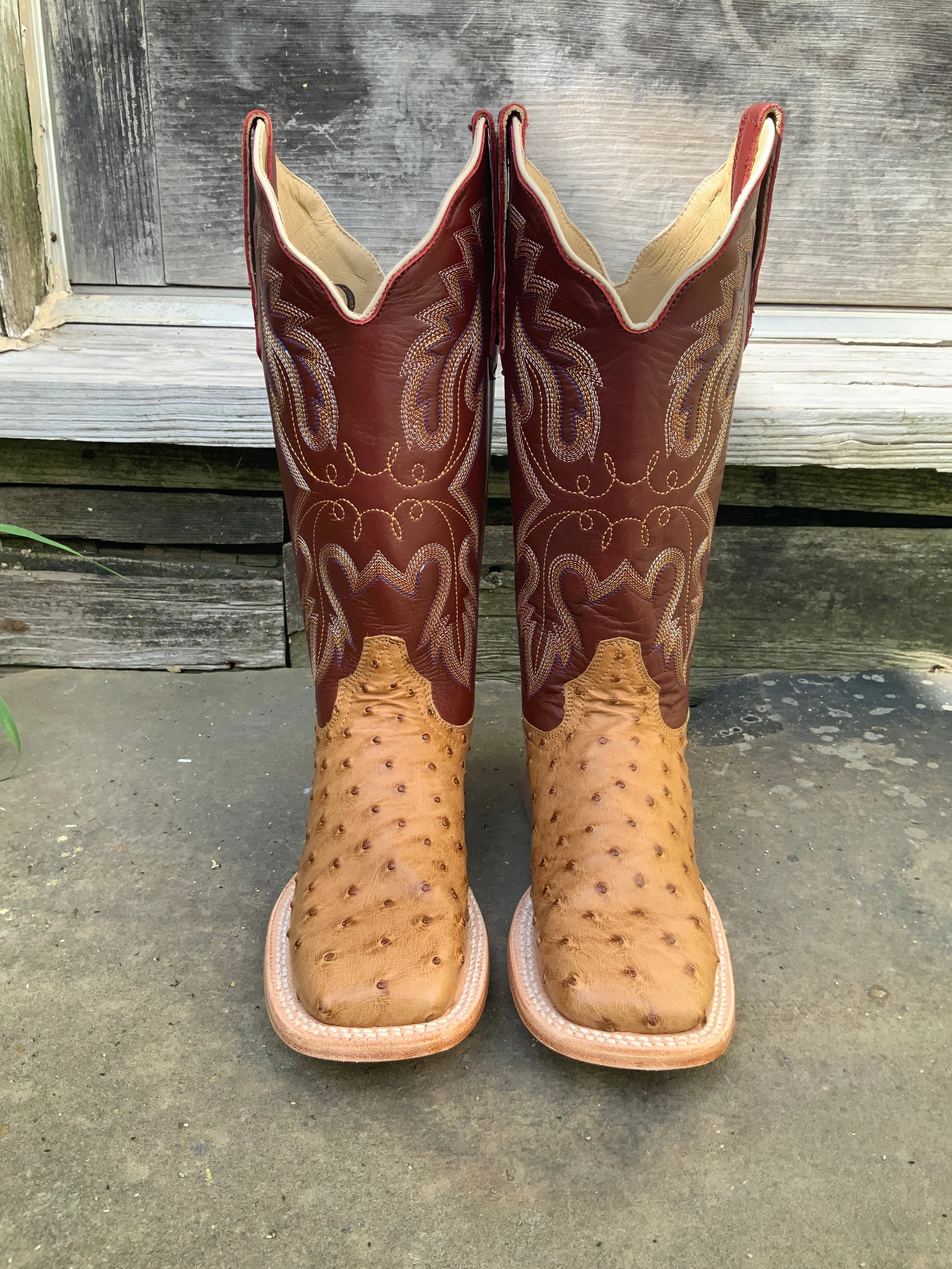 multi-use R. Watson Women's Antique Saddle Bruciato Full Quill Ostrich Square Toe Cowgirl Boots RWL4304