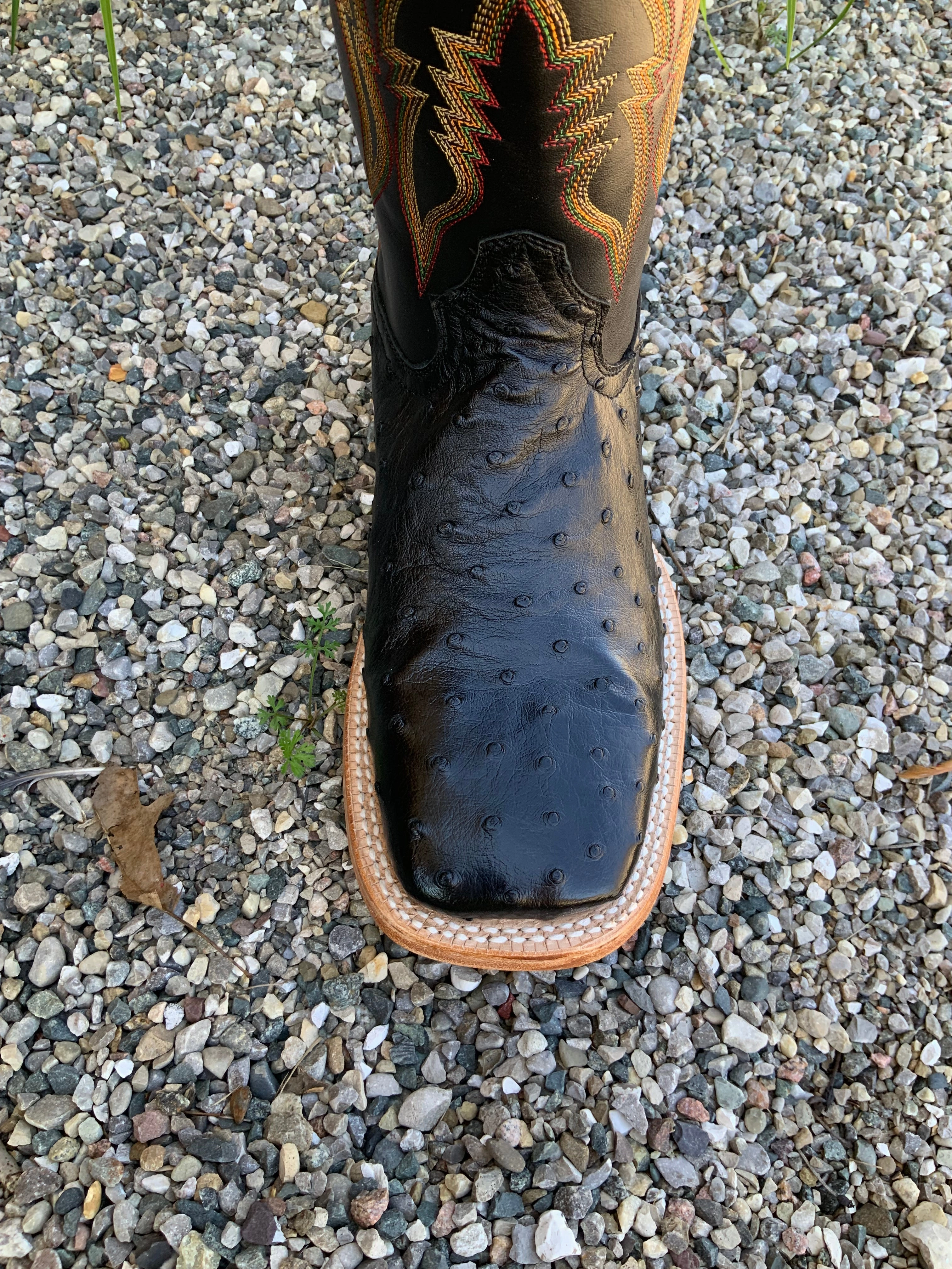 City Trek Bold Red R. Watson Men's Black Full Quill Ostrich Square Toe Western Cowboy Boots RW4507-2