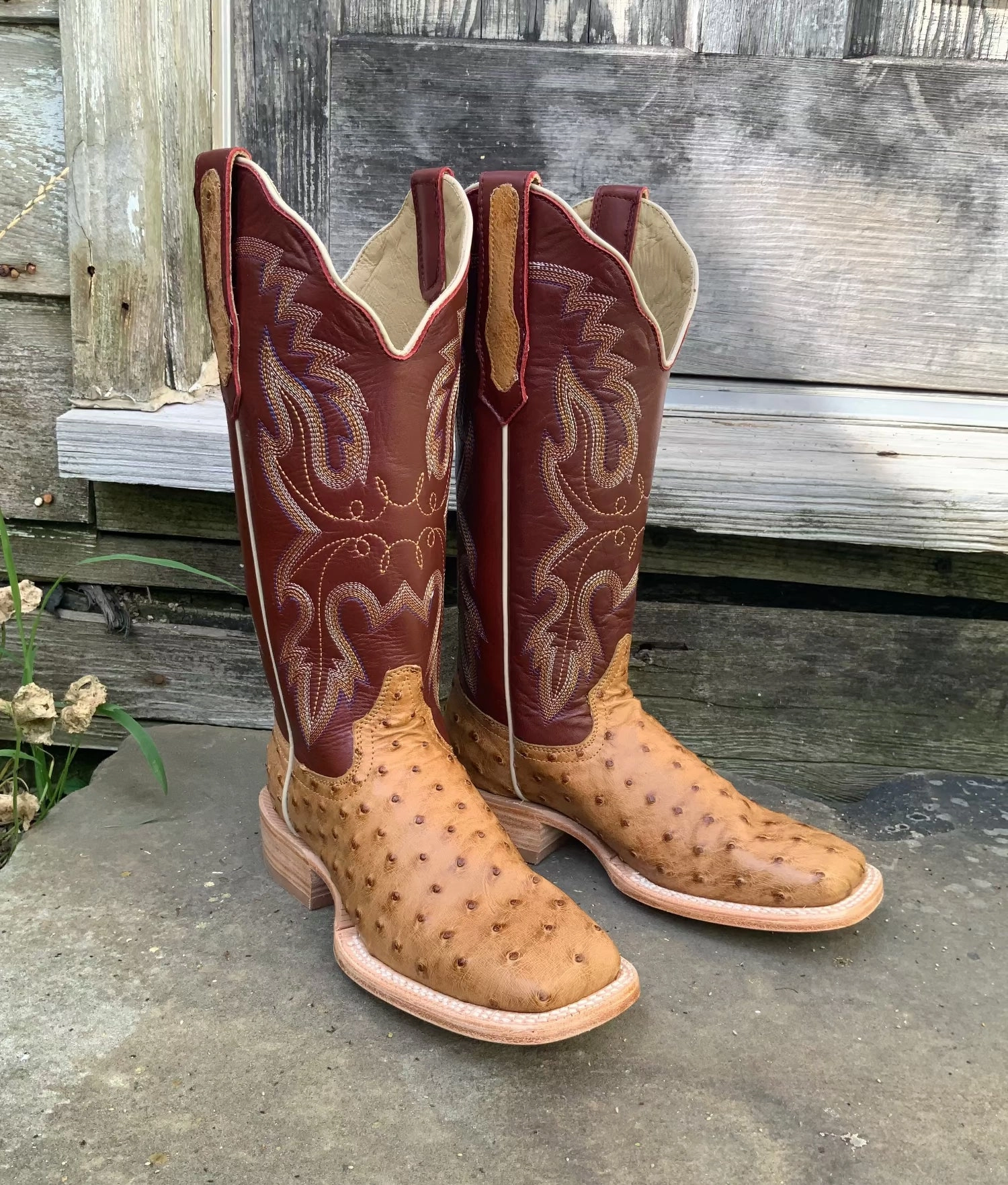 R. Watson Women's Antique Saddle Bruciato Full Quill Ostrich Square Toe Cowgirl Boots RWL4304 Arch support