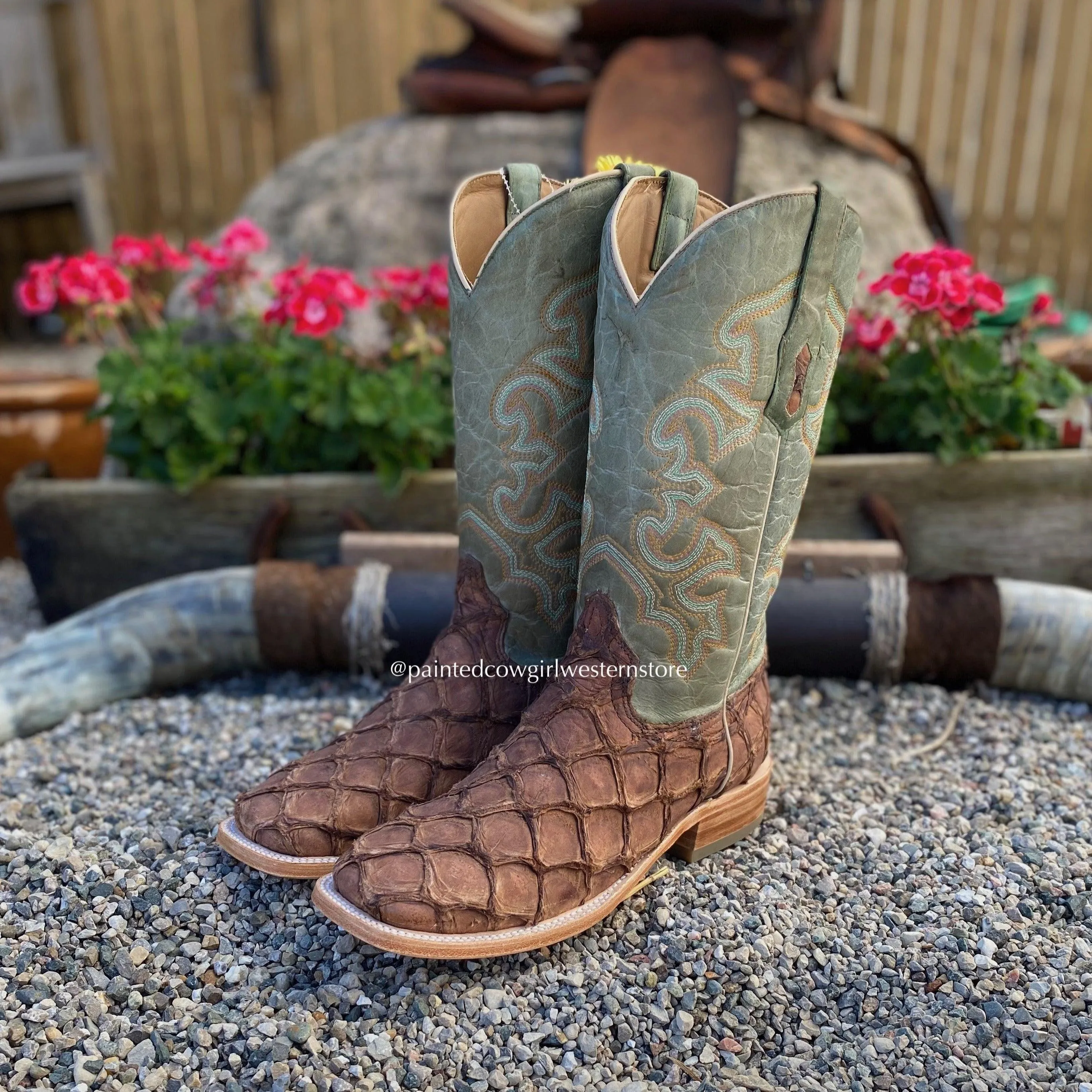 Shockproof Festival Ground Corral Men's Brown Big Bass Pirarucu Fish with Green Top Square Toe Cowboy Boots A4048