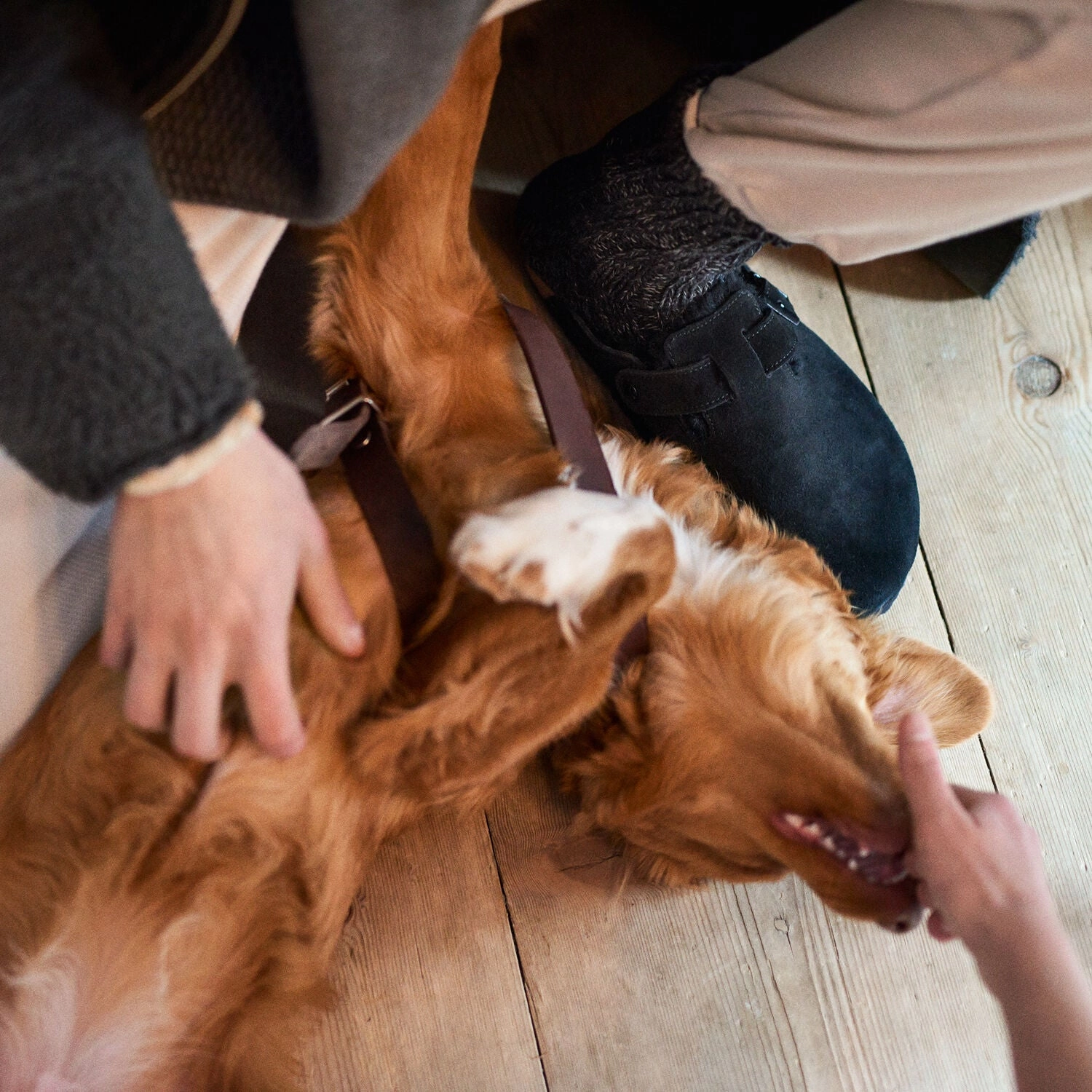 Best Seller Galaxy Tone Boston Shearling | Suede | Black