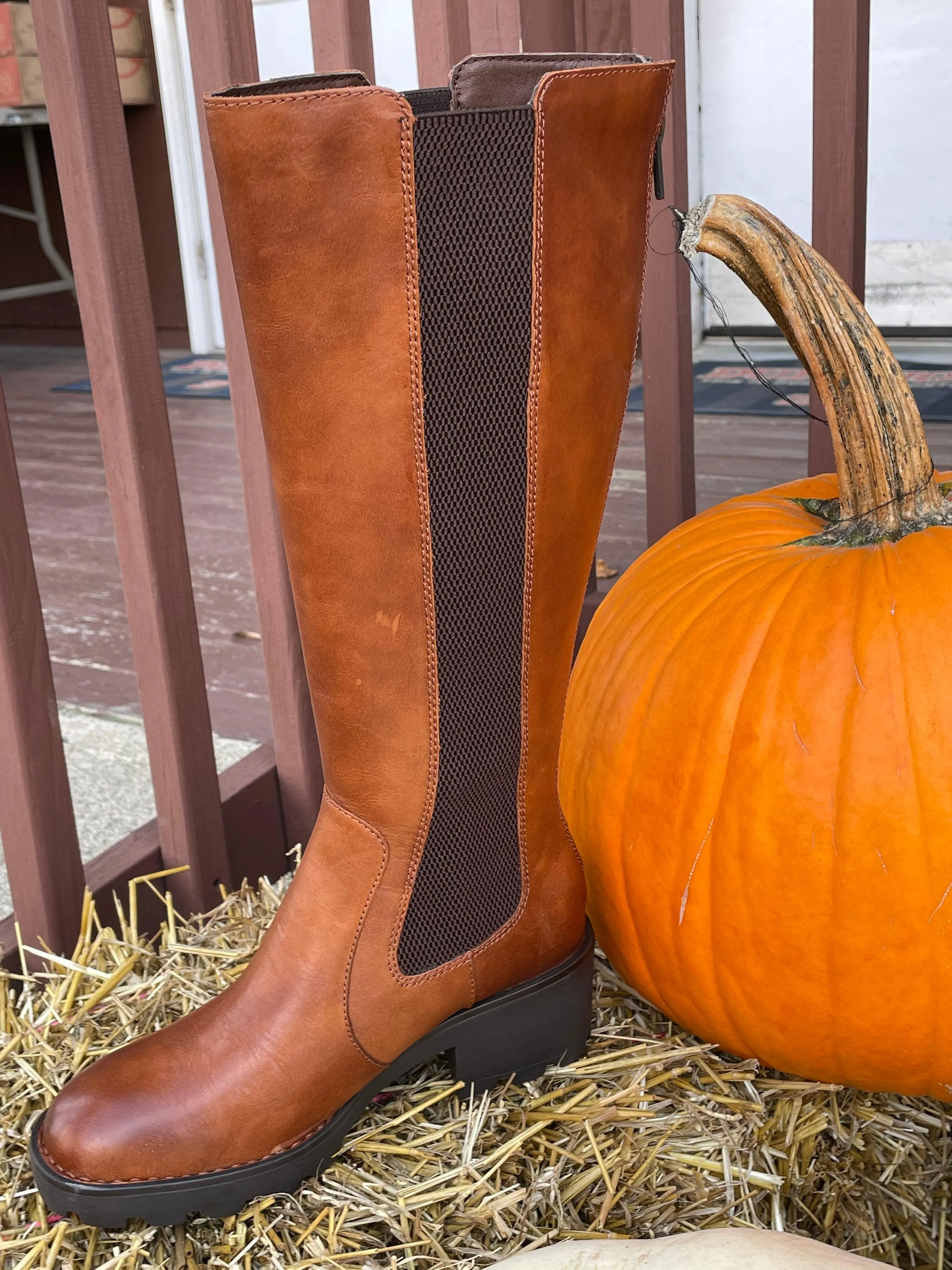 Frost resistant Born Women's Galdot Tall Brown Boot BR0050606