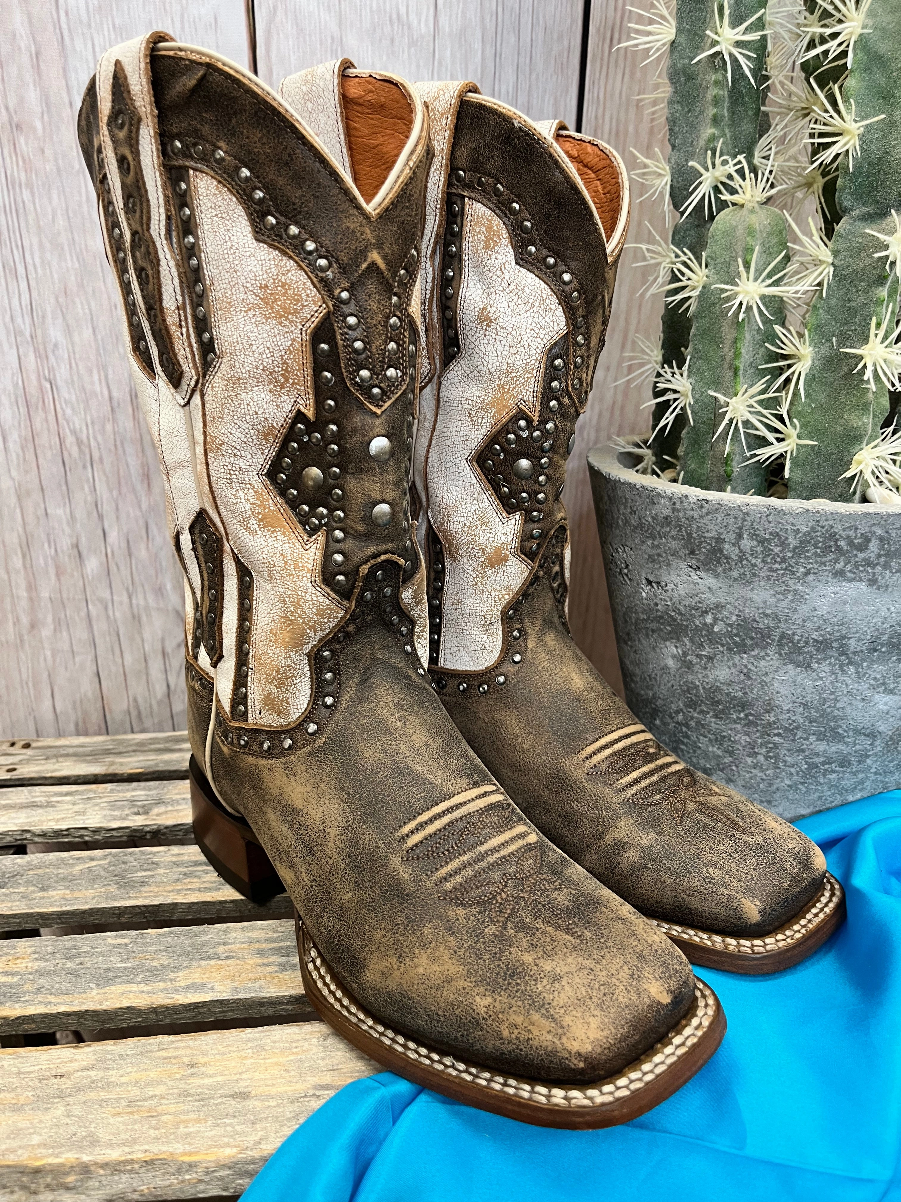 Neutral Tone Dan Post Women's Darby Brown & Bone Square Toe Cowgirl Boots DP4984