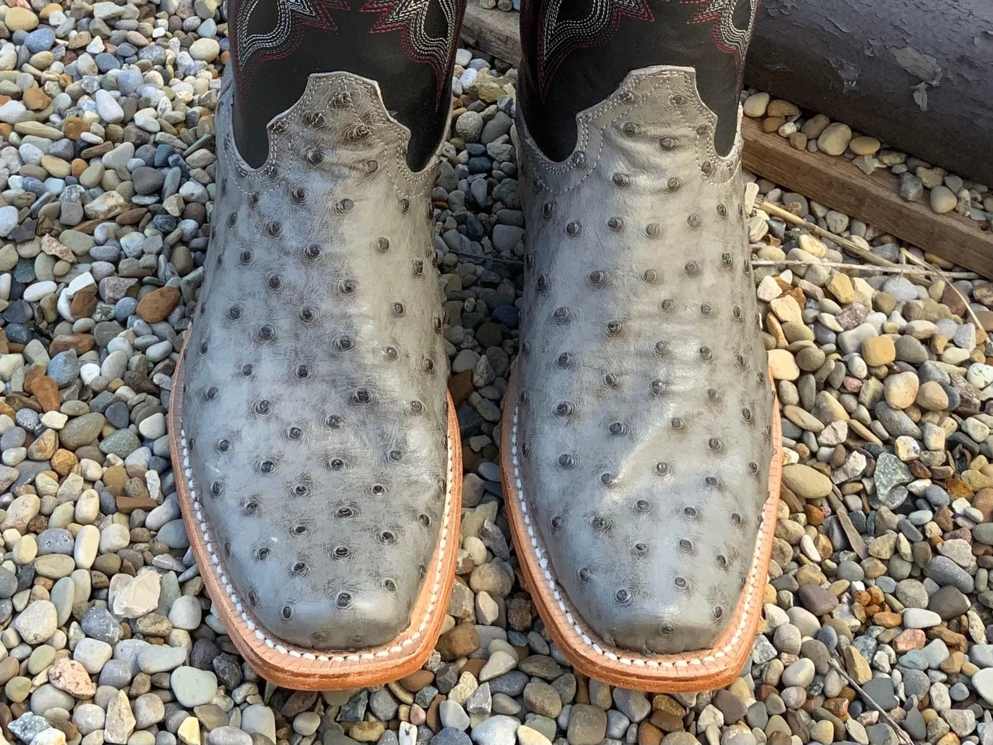 Snow Activity R. Watson Men's Serpentine Bruciato Grey Full Quill Ostrich Cutter Toe Cowboy Boots RW4518-1