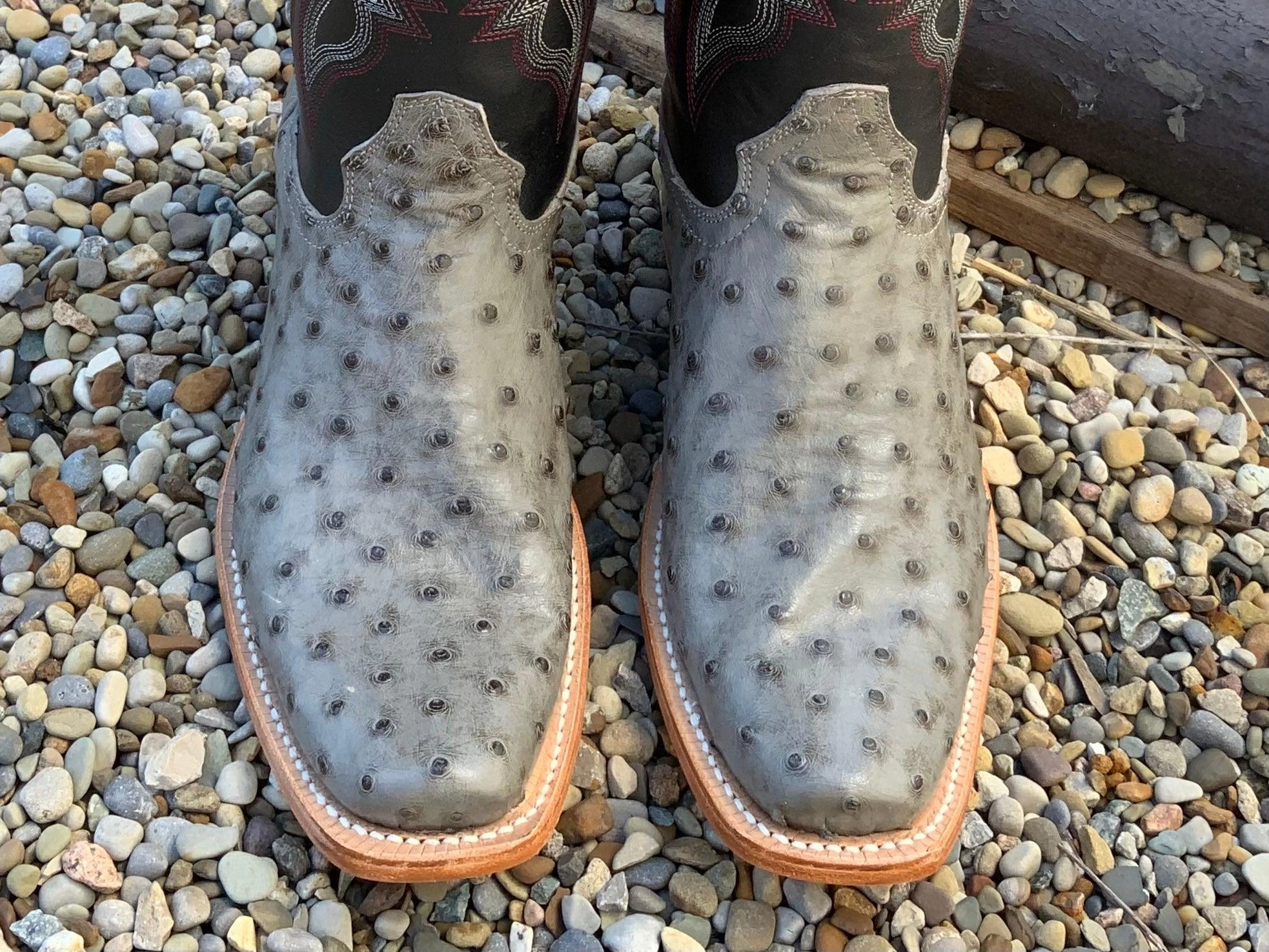 Snow Activity R. Watson Men's Serpentine Bruciato Grey Full Quill Ostrich Cutter Toe Cowboy Boots RW4518-1