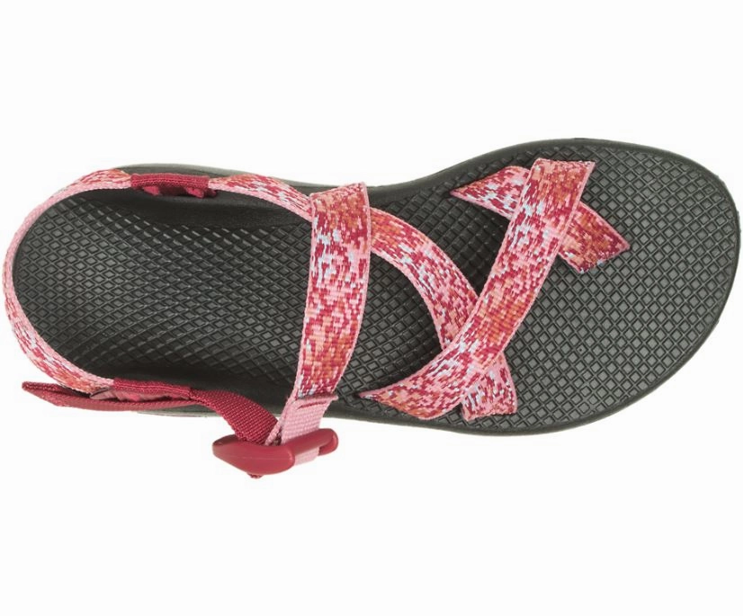 JCH109508 Chaco W Z/Cloud 2 Simple Fit Errand Style