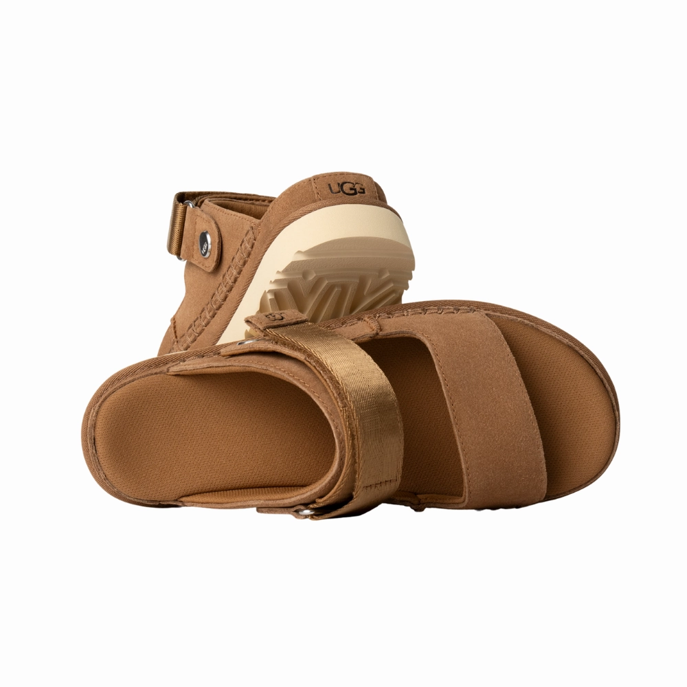 Goldenstar Glide | Women | Suede | Chestnut Indoor Classic Base