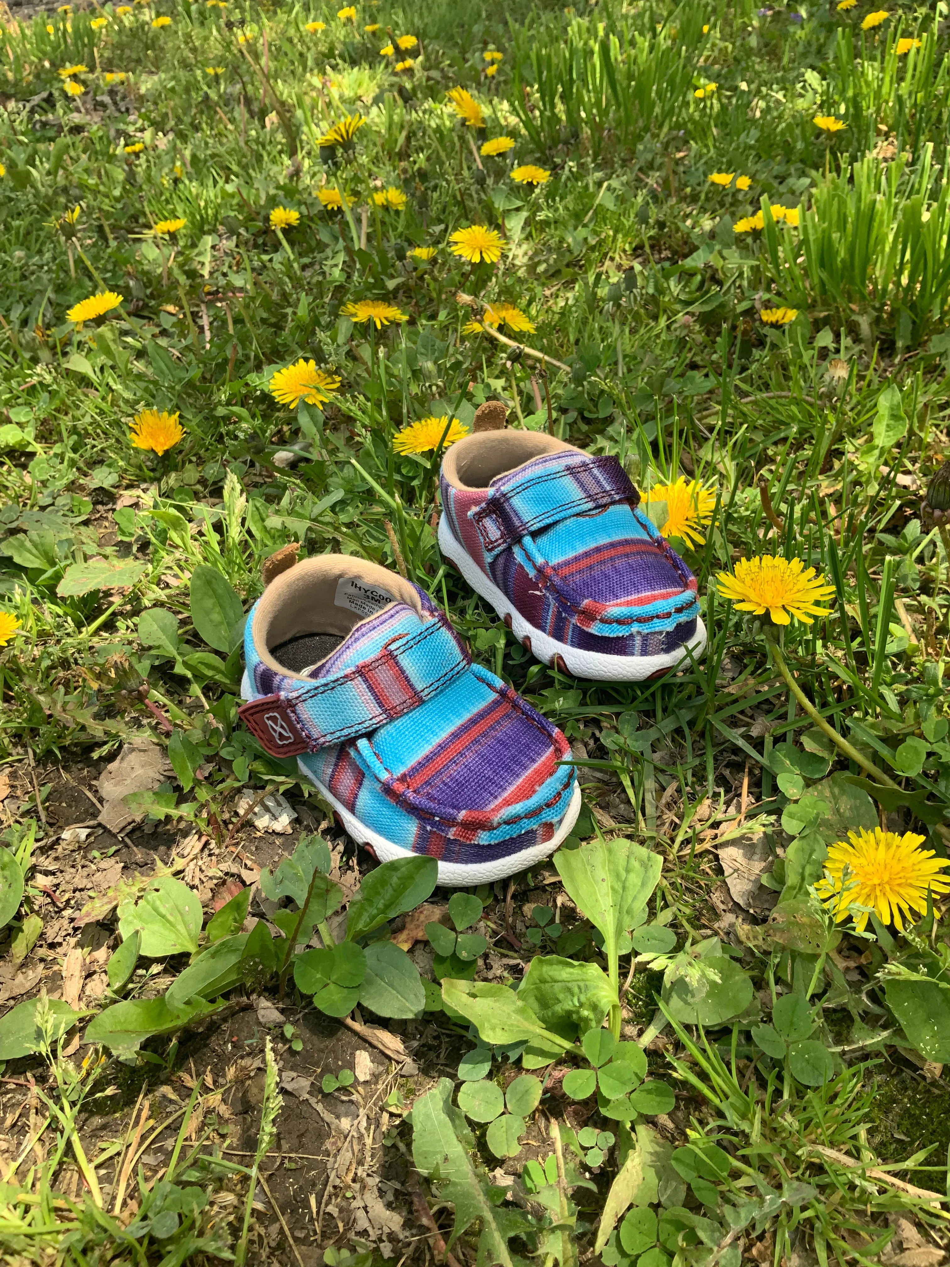 Matte Tone Twisted X Infant & Toddler Hooey Driving Moc Blue Multi Color Baby Shoes IHYC003