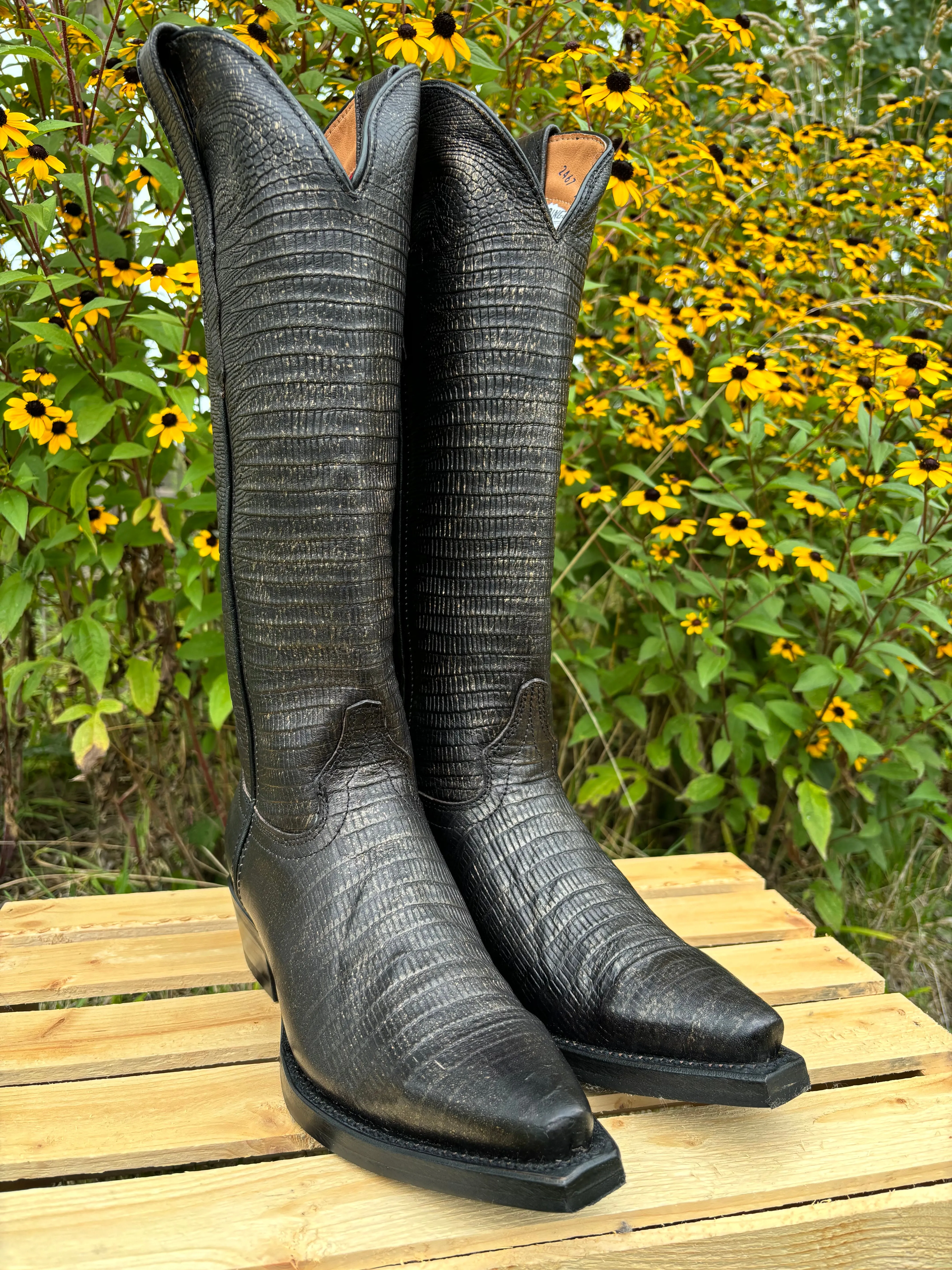 sole Dingo Women's Royale Athena Black Lizard Print Snip Toe Tall Cowgirl Boots DI241