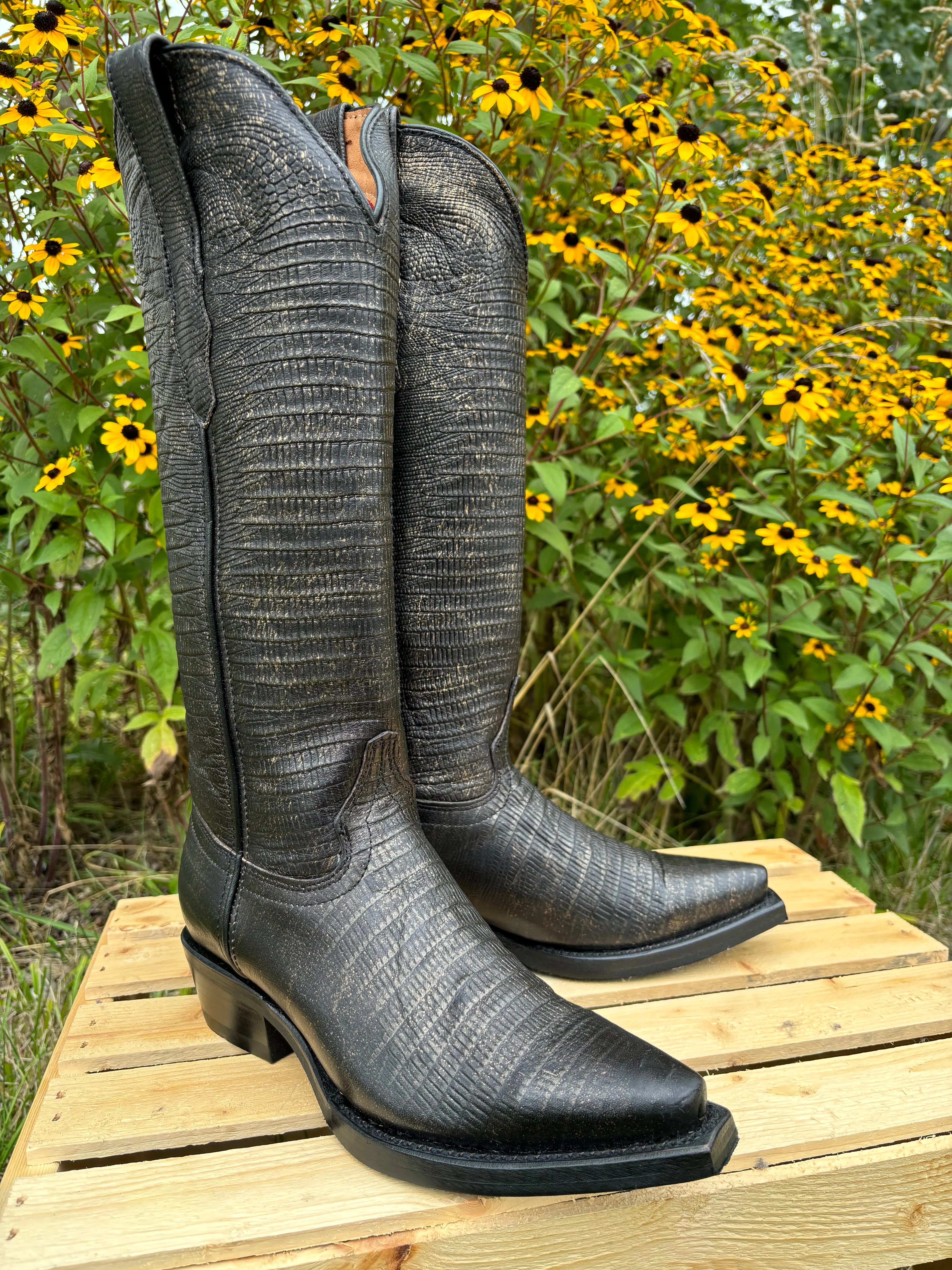 Easy Wear Protective Design Dingo Women's Royale Athena Black Lizard Print Snip Toe Tall Cowgirl Boots DI241